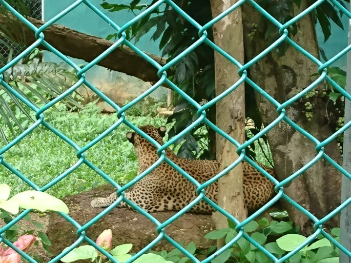 Dehiwala-National-Zoo-4