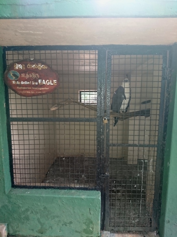 Dehiwala-National-Zoo-bird-cages