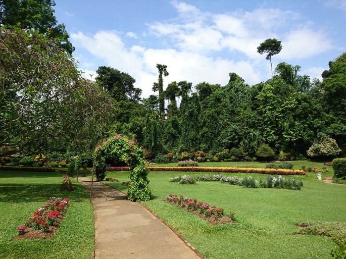 Flower garden, Royal Botanic Gardens, Peradeniya, Sri Lanka