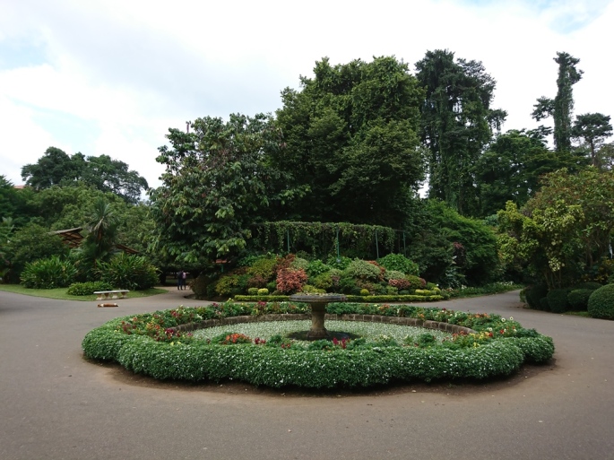 Royal Botanic Gardens, Peradeniya, Sri Lanka