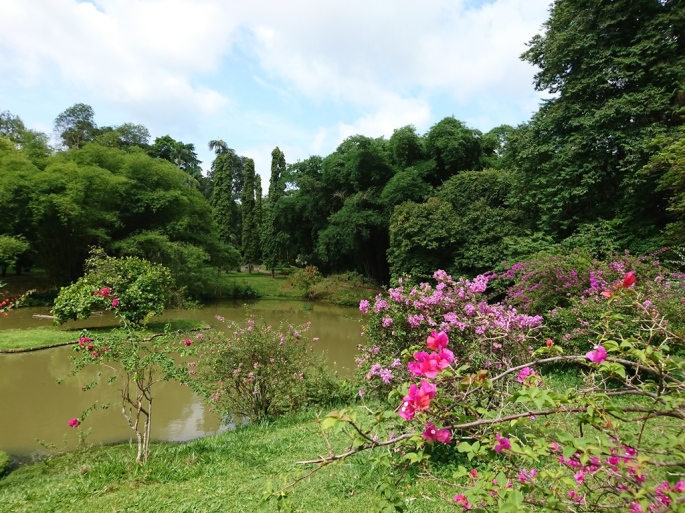 The Lake, Royal Botanic Gardens, Peradeniya, Sri Lanka
